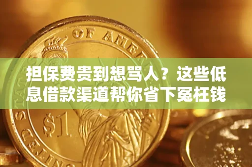 济南担保费贵到想骂人？这些低息借款渠道帮你省下冤枉钱