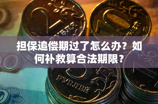 济南担保追偿期过了怎么办？如何补救算合法期限？