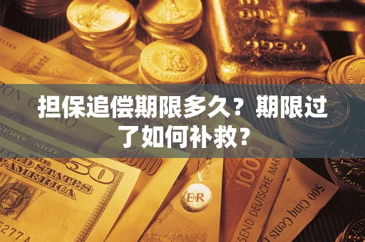 济南担保追偿期限多久？期限过了如何补救？