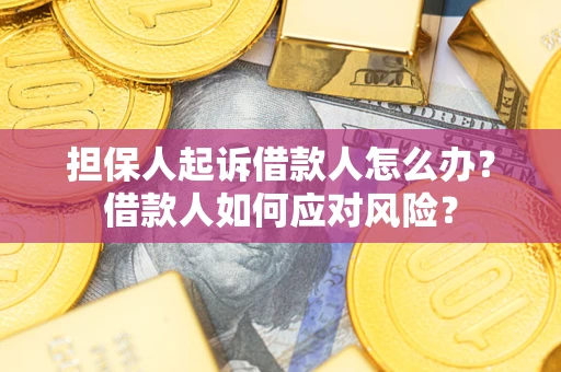 济南担保人起诉借款人怎么办？借款人如何应对风险？