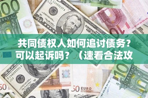 济南共同债权人如何追讨债务？可以起诉吗？（速看合法攻略）