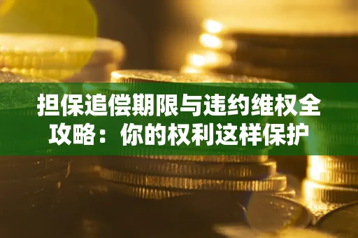 济南担保追偿期限与违约维权全攻略：你的权利这样保护